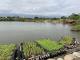 eco-fish pond become food and economy resources for the community1