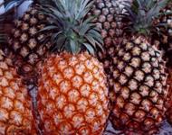 Yuanshan Pineapple