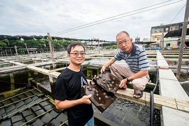 abalone farming experts