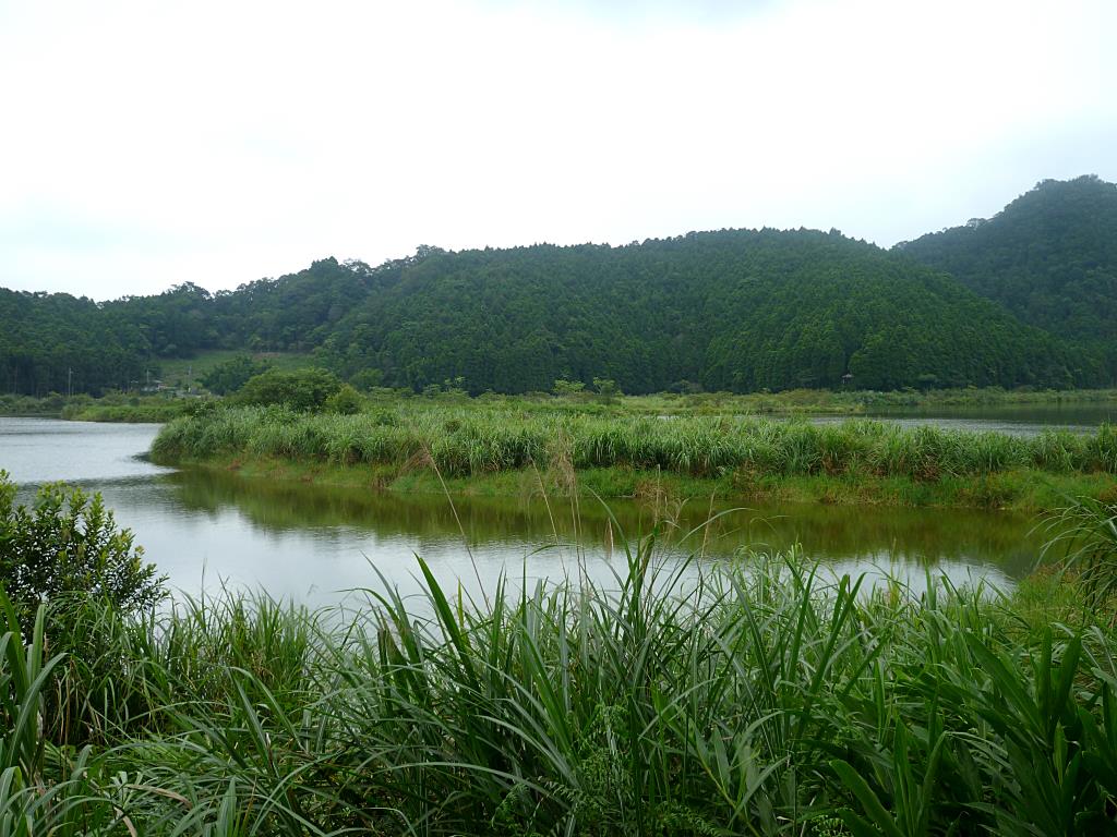 湖西村雙連埤
