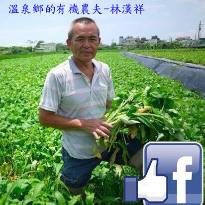 溫泉鄉的有機農夫-林漢祥